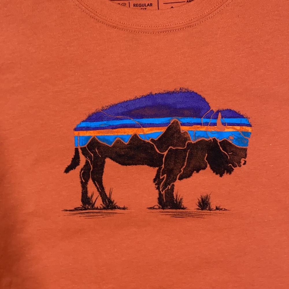 SOLD! Patagonia Buffalo Graphic Orange Short Sleev - Picture 2 of 5